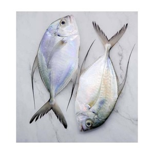 Fruits de mer conservés dans l'eau de poisson trevally entier congelé pour la commande en gros pour les grossistes - Product Image 3