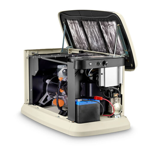 Offre de vente au détail pour générateur de secours domestique à double carburant 10000 Watts 120/240 Volts refroidi par air pour toute la maison - Product Image 2