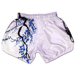 Shorts de combat Muay Thai 2026 les plus vendus, broderie personnalisée, satin polyester/coton, unisexe, MMA, grappling, kickboxing, vente en gros - Product Image 2