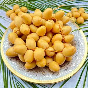 Fresh Harvest Barhi Dátiles llenos de energía natural Barhi Dátiles para bocadillos saludables y suministro a granel a bajo precio - Product Image 6