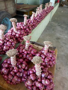 หอมแดงแช่แข็ง | รสหอม | เทคโนโลยี iqf - Product Image 6