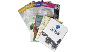 Alimentateur à friction pour <span class=keywords><strong>l</strong></span>'alimentation à grande vitesse <span class=keywords><strong>de</strong></span> cartes, étiquettes, billets <span class=keywords><strong>de</strong></span> loterie, cartes <span class=keywords><strong>de</strong></span> garantie et plus encore - Product Image 6