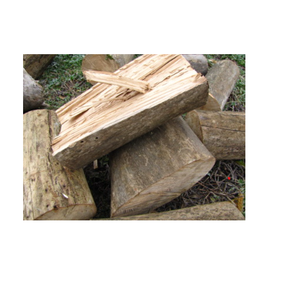 Troncos de arce sicomoro duraderos en venta a bajo precio, procedentes de fuentes para la fabricación de muebles de madera industrial e industrias forestales. - Product Image 4