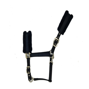 Caballo Halter de alta calidad, montar a caballo, PP Halter, disponible al mejor precio - Product Image 2