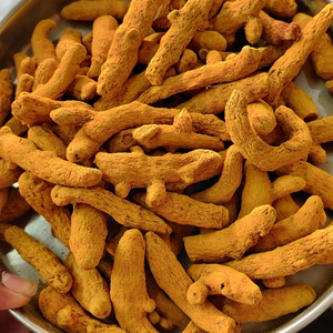 Curcuma Longa Biologique Séché de Qualité Supérieure, Racines Tranchées pour la Transformation Alimentaire et les Produits à Base de Plantes, à Prix Abordable - Product Image 4