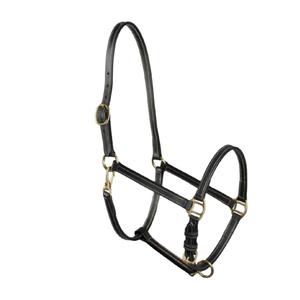 Nouveau modèle OEM 2025 – Licol en cuir de vachette durable pour l'équitation, couleur et logo personnalisables, pour l'entraînement des chevaux, vente en gros à bas prix - Product Image 4