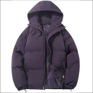 Chaqueta Bomber Ligera de Invierno para Hombre, con Cuello Alto, Impresión de Logotipo Personalizado, de Alta Calidad, Nueva Llegada, MOQ Bajo - Product Image 3