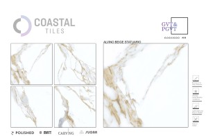 Colección de azulejos de suelo de porcelana de 600x600mm de calidad superior Serie Statuario Diseños de azulejos blancos Venta caliente Colección Statuario - Product Image 6