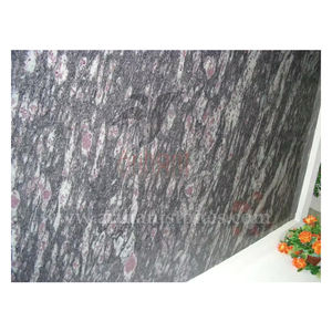 Vente en gros dernière arrivée Shiva Gold Dalles de granit de la plus haute qualité Carrelage extérieur poli Grande dalle Surface Cuisine Salle de bain - Product Image 4