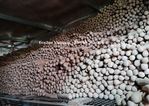 2025 Offre Spéciale de bâton à mâcher en bois de café biologique jouets à mâcher pour chiens écologiques fabriqués au Vietnam - Product Image 5