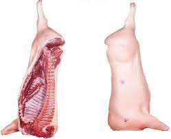 Piezas de Carne de Cerdo Frescas Congeladas Orgánicas de Alta Calidad, Proceso BQF, Envasado al Vacío, Sin Gluten - Product Image 5