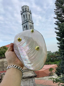 Coquilles de perles naturelles polies nacre dorée longue avec des tranches de coquille naturelle pour l'artisanat - Product Image 5