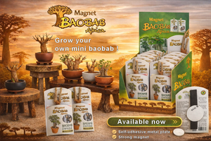 Kit magnétique mini baobab prêt à planter (poudre de baobab, feuilles de baobab, huile de baobab, pulpe de baobab) - Product Image 2