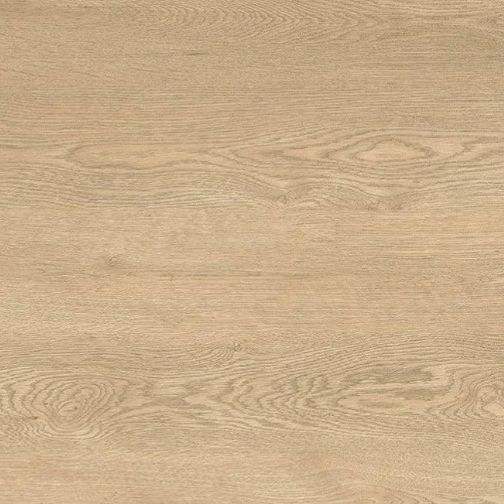 ต้นโอ๊ค Ruskin