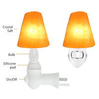 Élégante lampe de nuit enfichable au sel de l'Himalaya, applique murale en cristal de roche fabriquée à la main pour la décoration intérieure