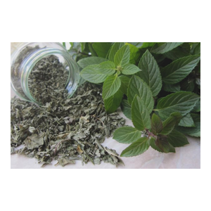 Hojas de menta verde liofilizadas de primera calidad, té de hojas sueltas con sabor a menta, hierba natural individual para preparar diariamente - Product Image 3