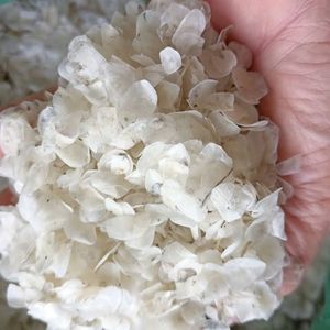 Độ tinh khiết cao cá Quy mô ossein/Công nghiệp-lớp/chất lượng cao - Product Image 3