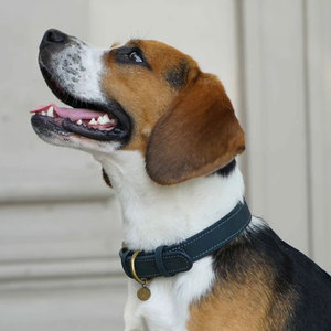 Collar de perro de Cuero 100% elegante de calidad superior con diseño tallado, collares para mascotas de fabricante al por mayor superior - Product Image 4