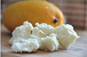 Mantequilla de mango orgánica de alta calidad, humectante para el cuidado de la piel, paquetes de tamaño personalizado directos de los fabricantes de la India - Product Image 5