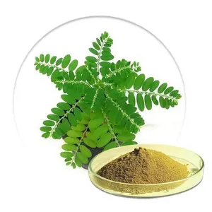 Extracto Herbal de Punica Granatum Orgánico de la Mejor Calidad en Polvo para el Brillo de la Piel, Bienestar Digestivo y Función Inmunológica - Product Image 3