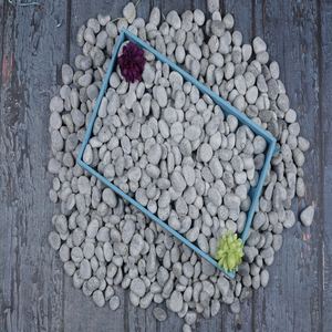 Classique gris petits galets de pierre naturelle lisse Ajmera marbre conception de ferme écologique pour le décor de paysage de parc extérieur - Product Image 5