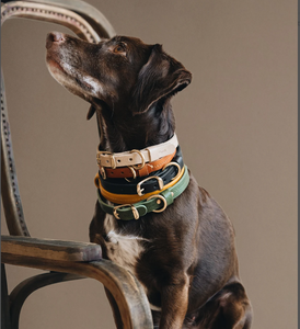 Brown Leather Dog <b>Collar</b> for Small Dogs: Ultra-Lightweight Hardware <b>Collar</b> for Greyhound and Whippet - Product Image 2