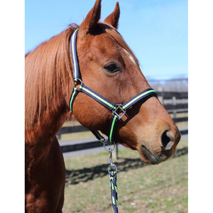 Cabestro de carreras de diseño personalizado, atractivo cuero genuino negro con PVC ligero, estilo inglés, accesorios para caballos - Product Image 4