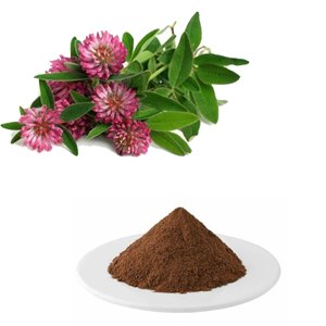 ผงสมุนไพรสกัดจากโคลเวอร์สีแดงยาสมุนไพรเพื่อสุขภาพของฮอร์โมนธรรมชาติสำหรับวัยหมดประจำเดือนและมีภูมิคุ้มกันผลิตในอินเดีย - Product Image 1