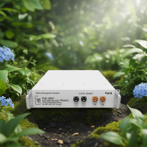 Sistema de Gestión de Baterías Pytes WD01 Smart Monitor EBOX 48100R con Dongle WiFi - Product Image 3
