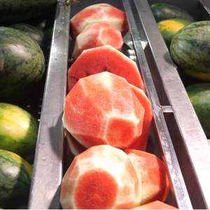 Purée de pastèque fraîchement pressée 100% sans sucre, vraie pulpe, boîte de 320 ml (en conserve), vente en gros, marque privée, échantillon gratuit, Vietnam - Product Image 3