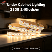 Bande lumineuse LED flexible décorative à haute densité, 10 mm, cuivre, SMD 2835, 24 V, 240 LED/m, CRI90, blanc chaud, IP20, découpable
