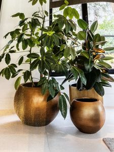 Elegant Long Metal Decorative <b>Garden</b> Planter Featuring Unique Cutwork Design Ideal For Both Decorative Gardening Purposes - Product Image 2