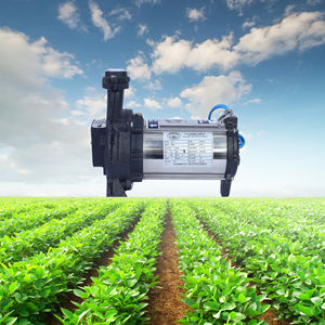 Pompe à puits ouvert monophasée pour l'approvisionnement en eau domestique - Product Image 3