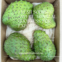Hoogwaardige Verse Zuurzak (Graviola) Voor Groothandel Export