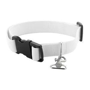 Collar Personalizado Ziggy Dog, Artículos Promocionales Personalizados para Mascotas - Product Image 2