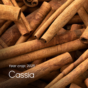 [Nueva cosecha] Vilaconic Premium Split Cassia Especias de alta calidad crudas secas almacenadas en la fábrica de Vietnam manejadas por expertos + 84 971827680 - Product Image 1