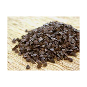 Extracto de Semilla de Trigo Sarraceno Tártaro, Seco, en Empaque a Granel, Certificado GMO - Product Image 1