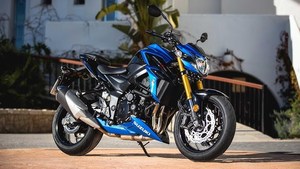 Suzukii, superventas, superventas, en oferta, en el 2017 - Product Image 2