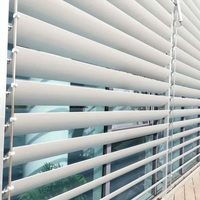 Usinage CNC Conception de bâtiment personnalisée Persienne solaire en aluminium Volets extérieurs Profils extrudés du mur de verre