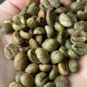 Los granos de café verde se suministran desde Bao Tram Anh Vietnam. Productos agrícolas de alta calidad al mejor precio. - Product Image 1