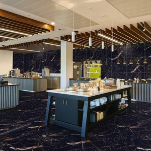 Obtenga baldosas de porcelana de 60x60cm de grado premium fabricadas en la India para azulejos de estándares globales para azulejos de decoración para el hogar y la sala de estar - Product Image 1