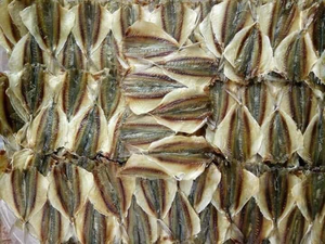 Delicia de raya amarilla salada/calidad superior/precios competitivos/hecho en Vietnam - Product Image 6