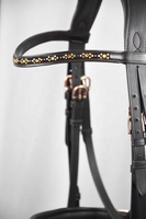 Equipo Ecuestre de Diseño Moderno, Brida de Doma de Cuero Patentado de Primera Calidad, Personalizable con Logotipo, Color Negro, Horsekraft