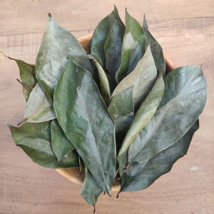 Feuilles de corossol séchées naturelles, Guanabana, thé pour femmes, mélange d'herbes naturelles, feuilles de corossol bio 100% naturelles - Product Image 2