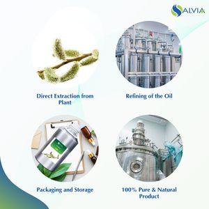 Aceite Rosalina 100% Puro y Natural Al Por Mayor A Granel Precio Más Bajo Embalaje Personalizado - Product Image 4