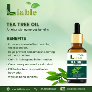 Huile essentielle de gingembre 100% pure et biologique 120ml, huile d'arbre à thé avec des ingrédients à base de fleurs d'eucalyptus pour la peau, en boîte - Product Image 5