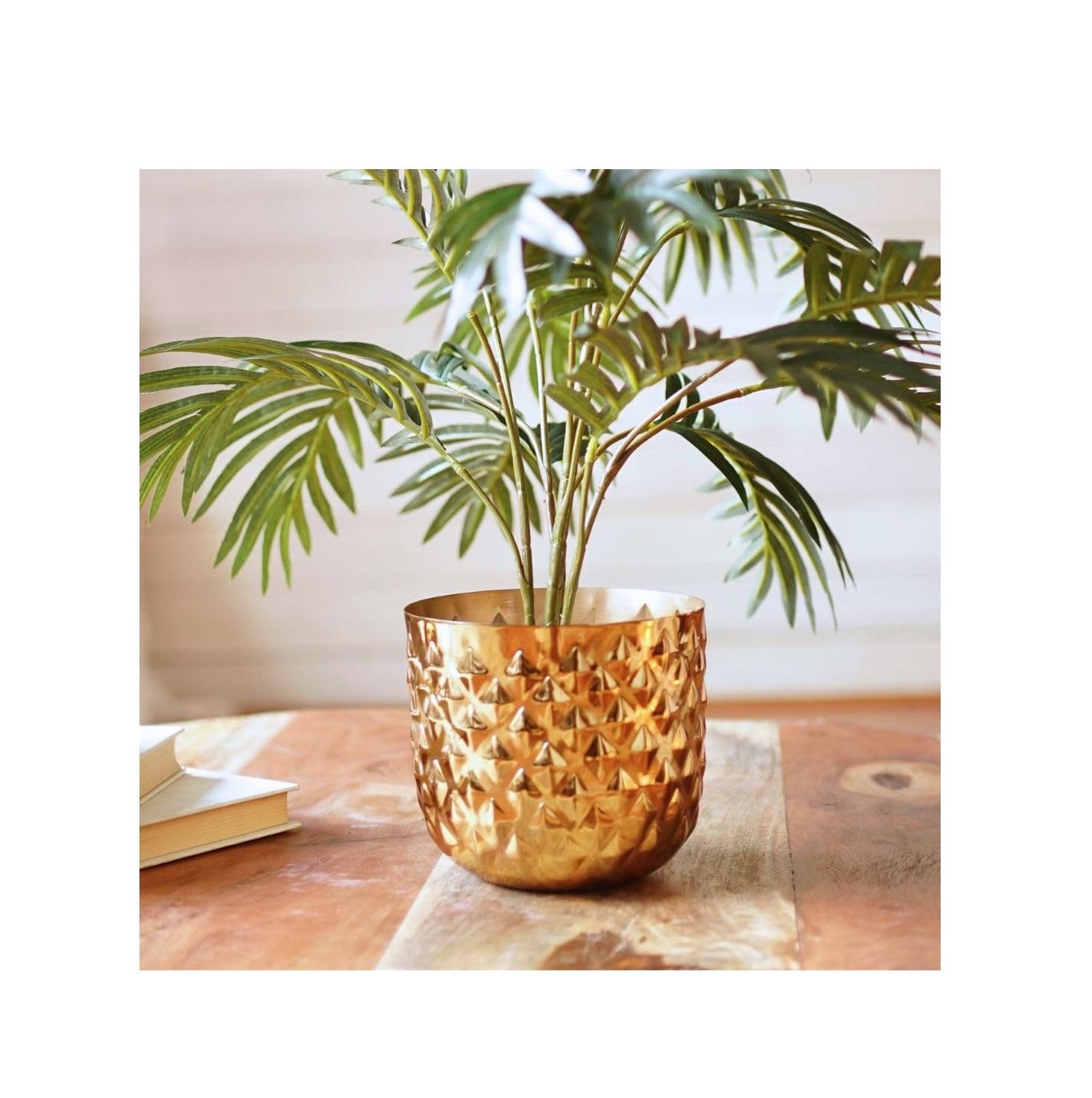 สีธรรมชาติ