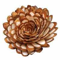 Sola bunga kayu reed diffuser, Wangi buatan tangan bunga Sola ramah gema bunga Sola alami ke udara menyegarkan
