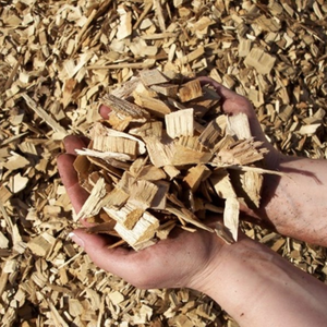 Premium 100% naturel écologique Vietnam copeaux de bois de haute qualité doux et absorbant déchets agricoles pour la literie des animaux - Product Image 4