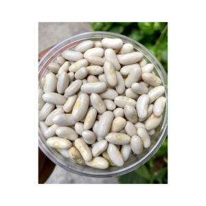 HIGH QUALITY SC2 SPECIFICATION USA <b>NAVY</b> <b>BEANS</b> Fresh GMO for Sale Wholesale Supplier in Good Price - Product Image 6
